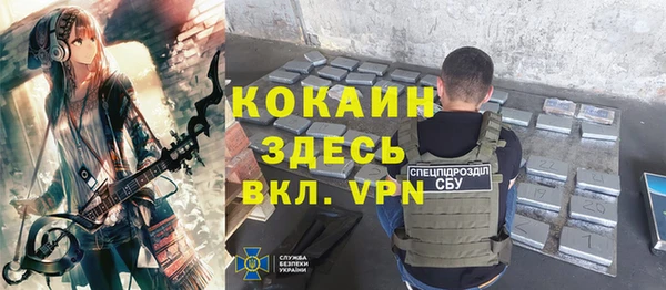 крисы Балахна