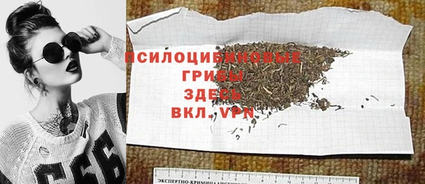 крисы Балахна
